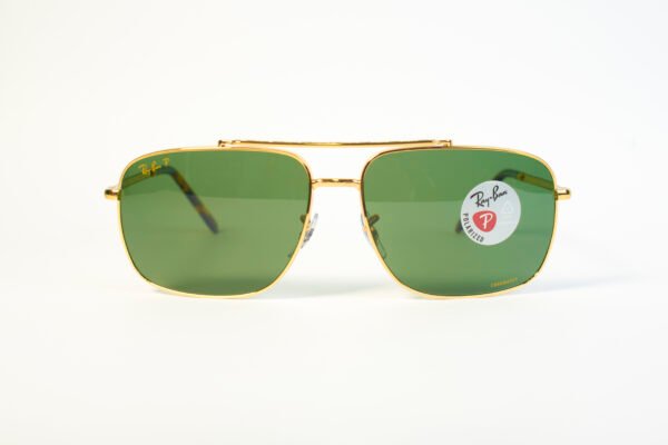 Montura de Sol Rayban Rb3796